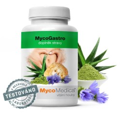mycogastro-vitalni-2.761696527 (1)